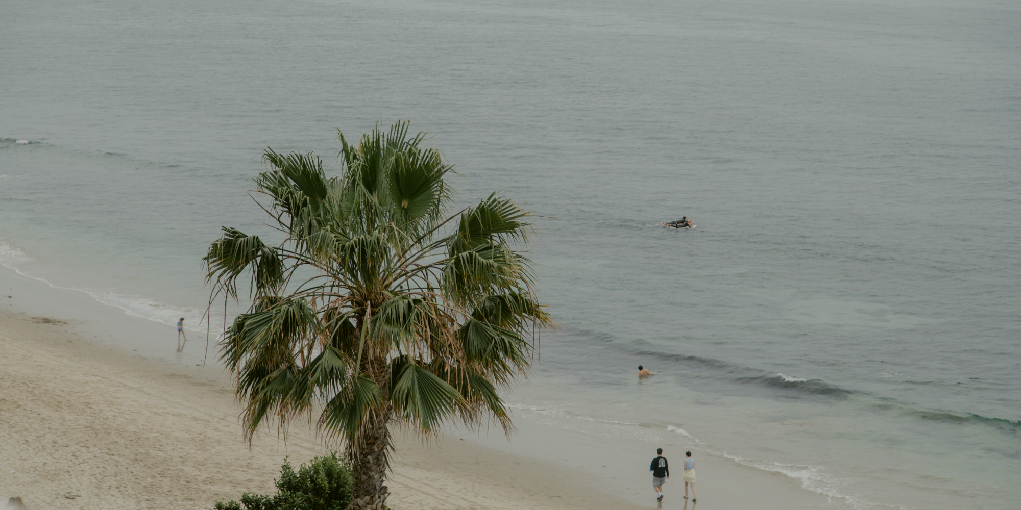Laguna Beach Living | The Ultimate Laguna Beach City Guide